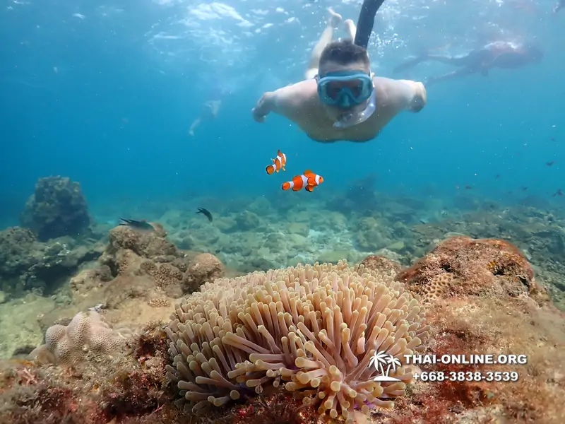 Underwater Odyssey snorkeling excursion Pattaya Thailand photo 11444