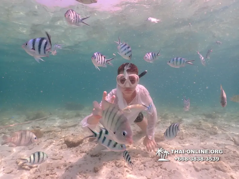 Underwater Odyssey snorkeling tour from Pattaya Thailand photo 18465