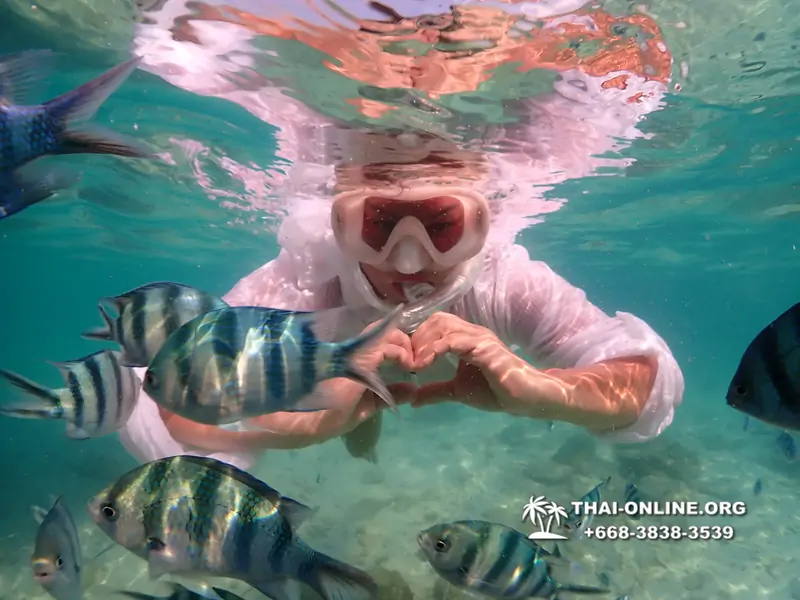 Underwater Odyssey snorkeling tour from Pattaya Thailand photo 14279