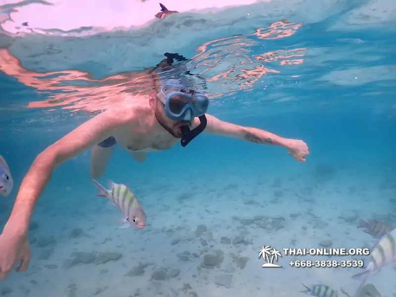 Underwater Odyssey snorkeling excursion Pattaya Thailand photo 11062