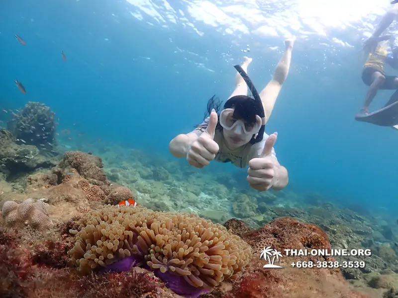 Underwater Odyssey snorkeling excursion Pattaya Thailand photo 11397