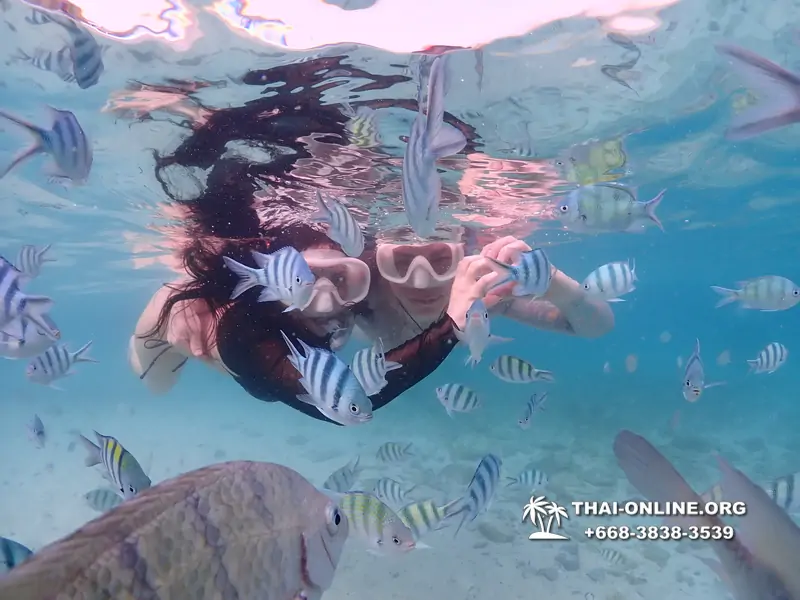 Underwater Odyssey snorkeling excursion Pattaya Thailand photo 11205