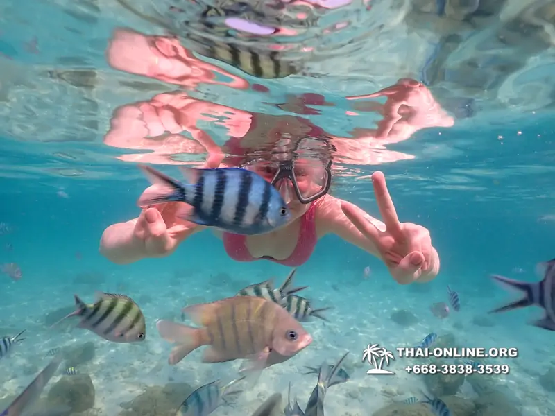 Underwater Odyssey snorkeling tour from Pattaya Thailand photo 14405