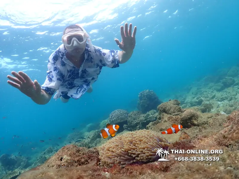 Underwater Odyssey snorkeling excursion Pattaya Thailand photo 11409