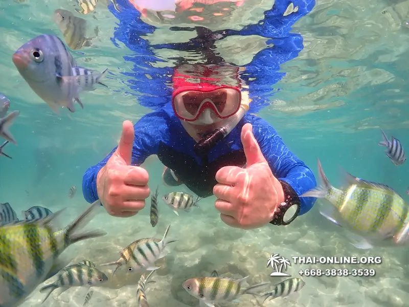 Underwater Odyssey snorkeling excursion Pattaya Thailand photo 14752