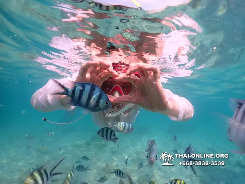 Underwater Odyssey snorkeling tour from Pattaya Thailand photo 14446