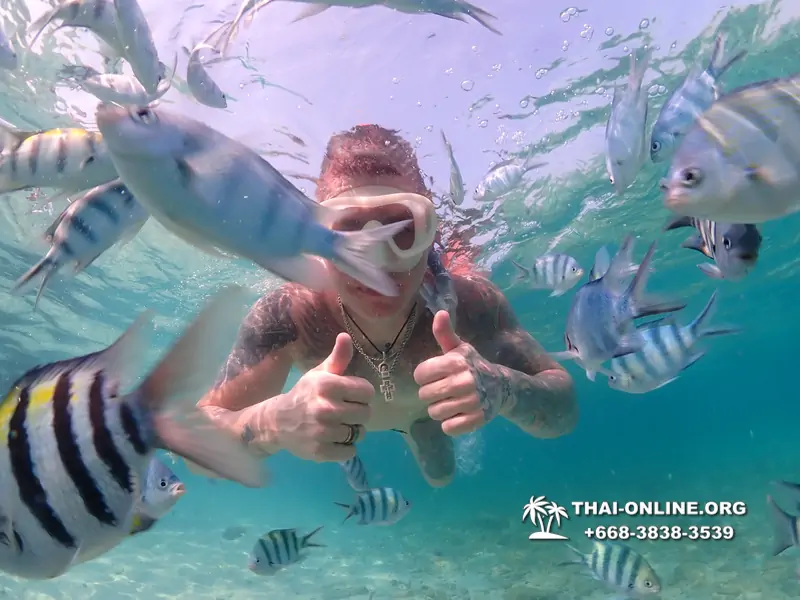 Underwater Odyssey snorkeling excursion Pattaya Thailand photo 11235