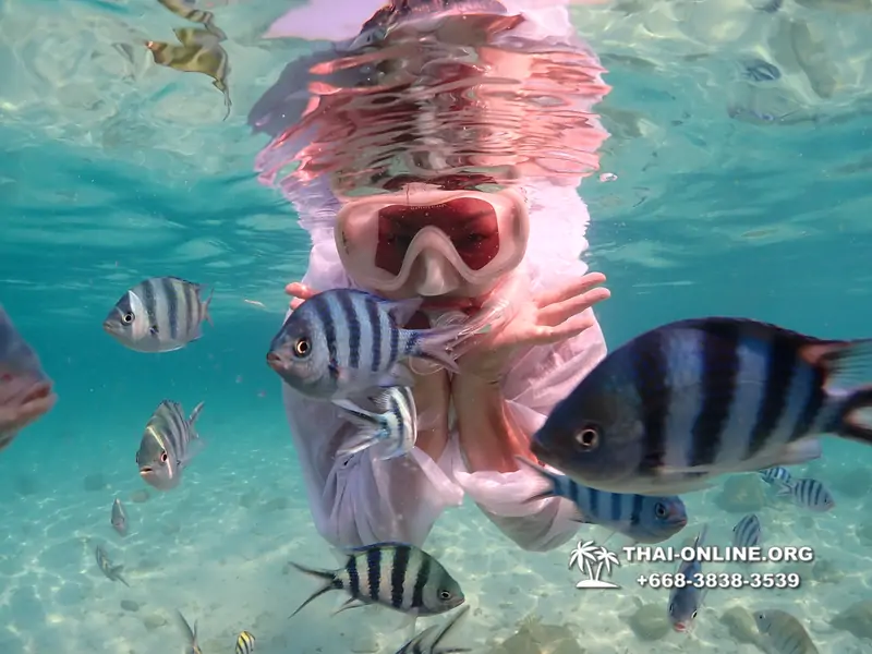 Underwater Odyssey snorkeling tour from Pattaya Thailand photo 14300