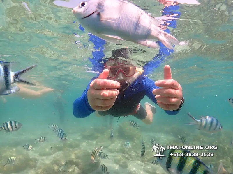 Underwater Odyssey snorkeling excursion Pattaya Thailand photo 14867