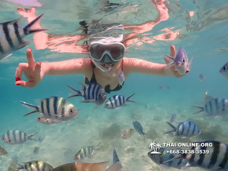 Underwater Odyssey snorkeling tour from Pattaya Thailand photo 14472