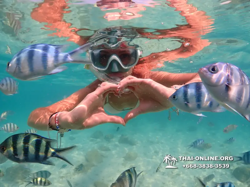 Underwater Odyssey snorkeling tour from Pattaya Thailand photo 14178