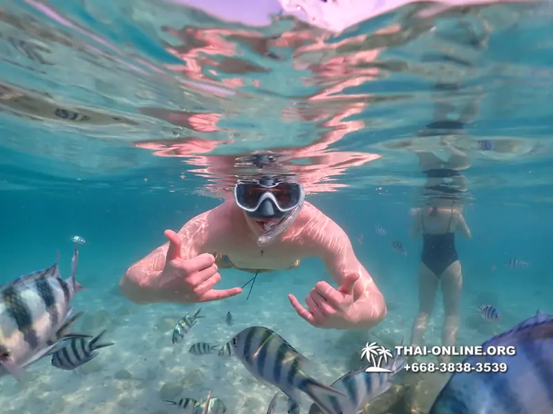 Underwater Odyssey snorkeling tour from Pattaya Thailand photo 14495