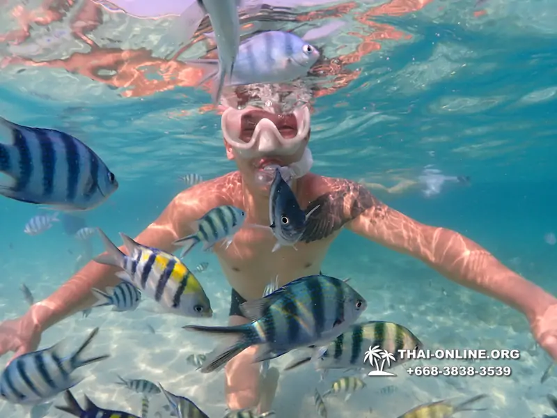 Underwater Odyssey snorkeling excursion Pattaya Thailand photo 11289