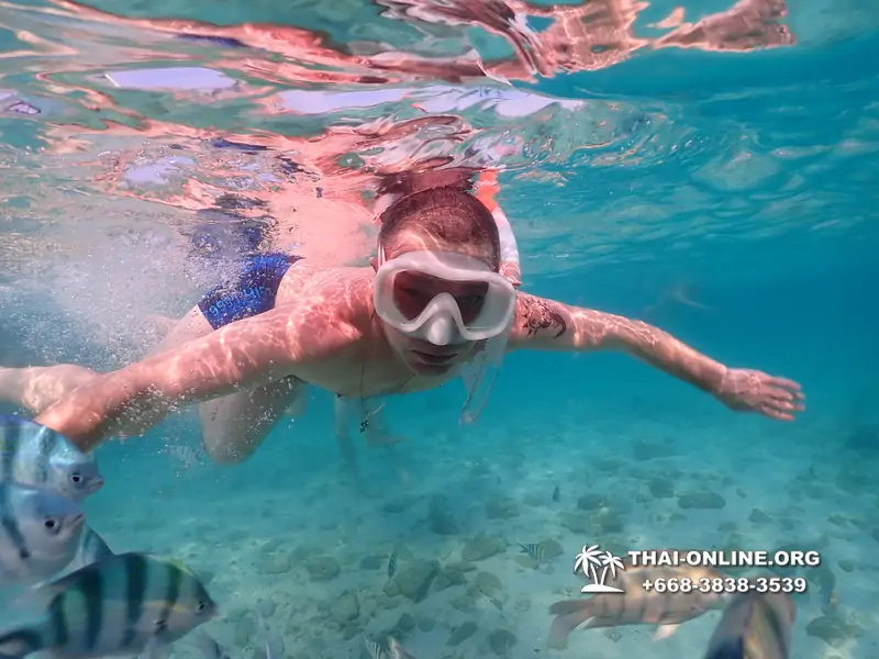 Underwater Odyssey snorkeling excursion Pattaya Thailand photo 11139