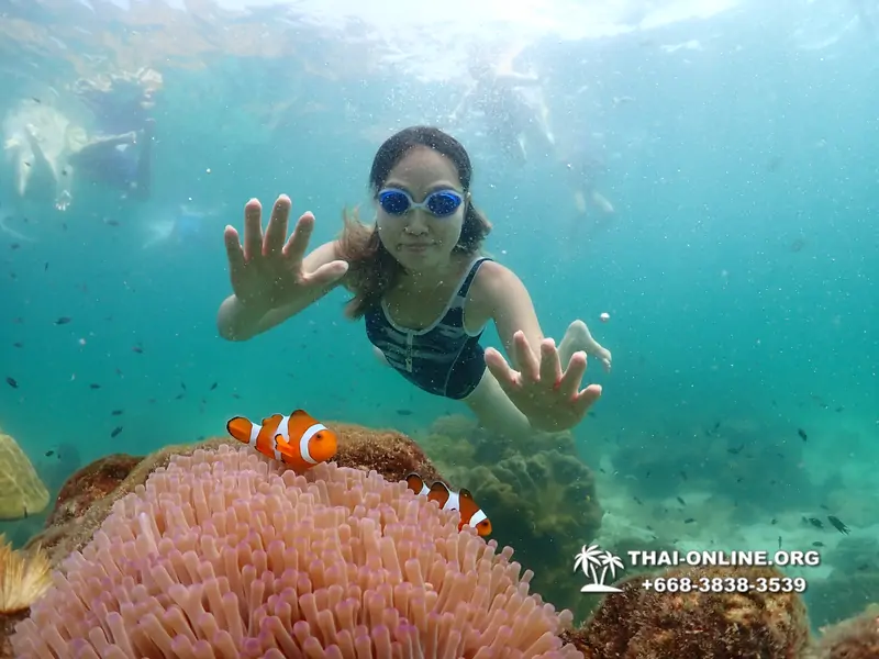 Underwater Odyssey snorkeling tour from Pattaya Thailand photo 18293