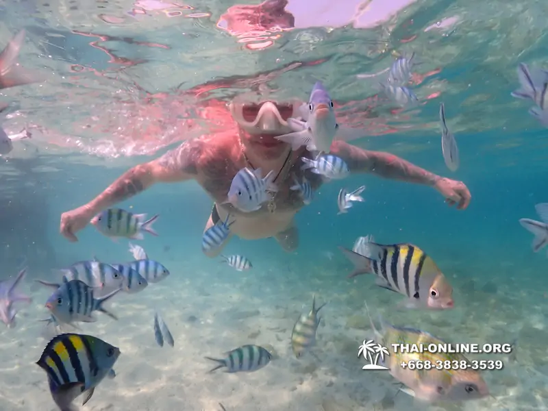 Underwater Odyssey snorkeling excursion Pattaya Thailand photo 11239