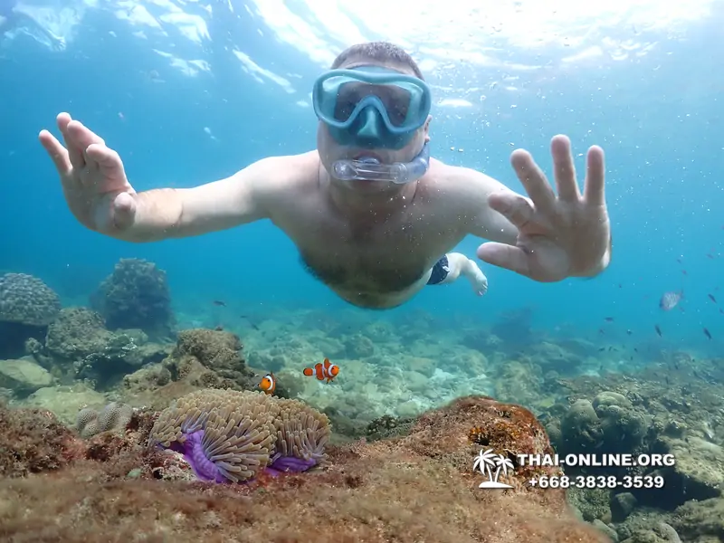 Underwater Odyssey snorkeling excursion Pattaya Thailand photo 11442