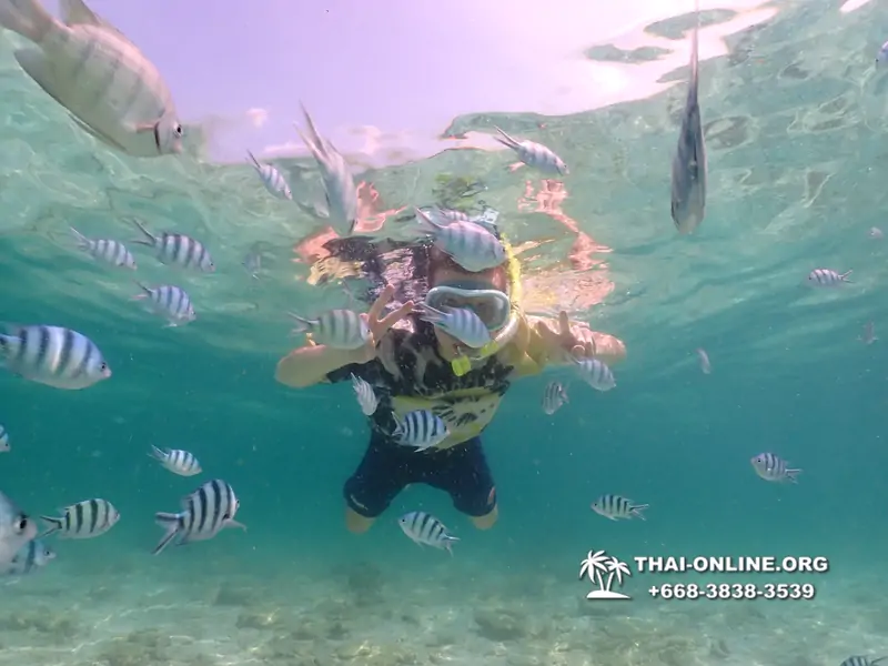 Underwater Odyssey snorkeling tour from Pattaya Thailand photo 18754