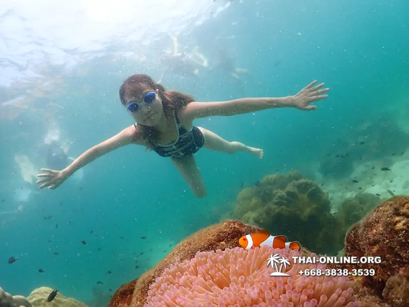 Underwater Odyssey snorkeling tour from Pattaya Thailand photo 18424