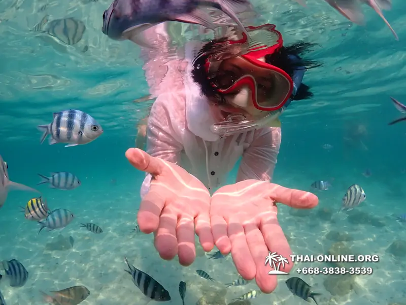 Underwater Odyssey snorkeling tour from Pattaya Thailand photo 14354