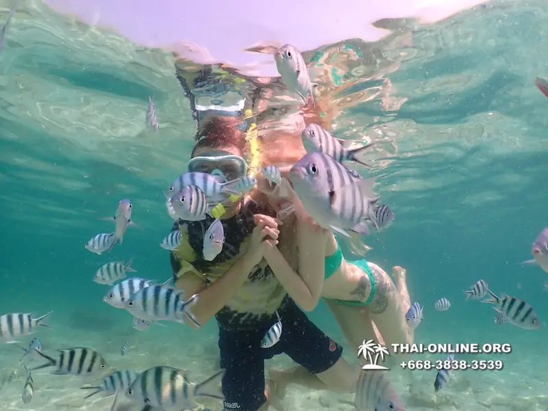 Underwater Odyssey snorkeling tour from Pattaya Thailand photo 18319