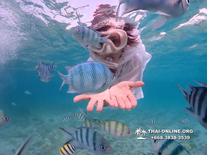 Underwater Odyssey snorkeling excursion Pattaya Thailand photo 11162