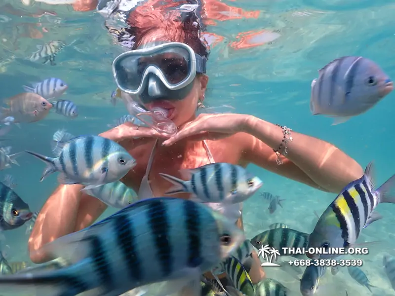Underwater Odyssey snorkeling tour from Pattaya Thailand photo 14238