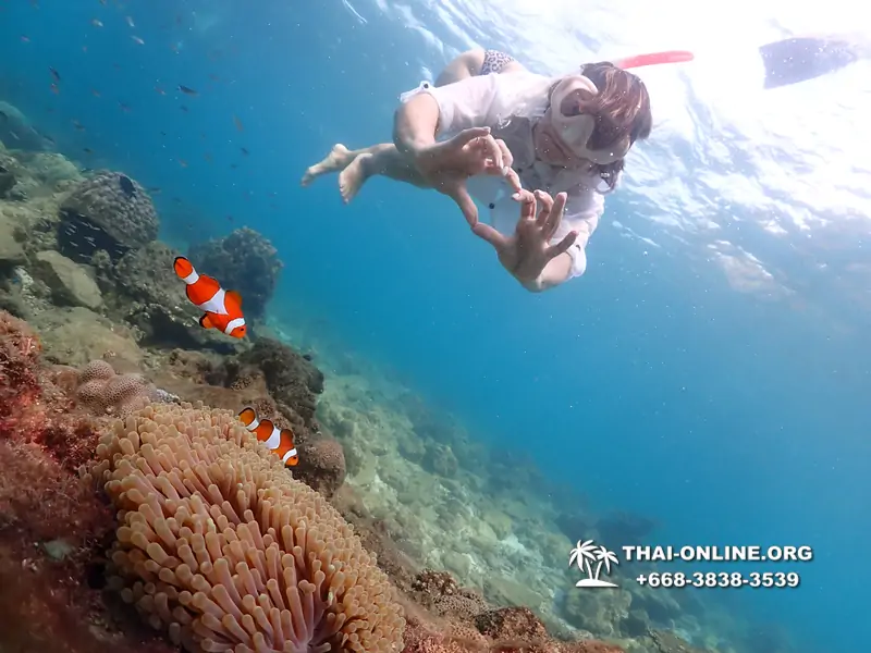 Underwater Odyssey snorkeling excursion Pattaya Thailand photo 11395