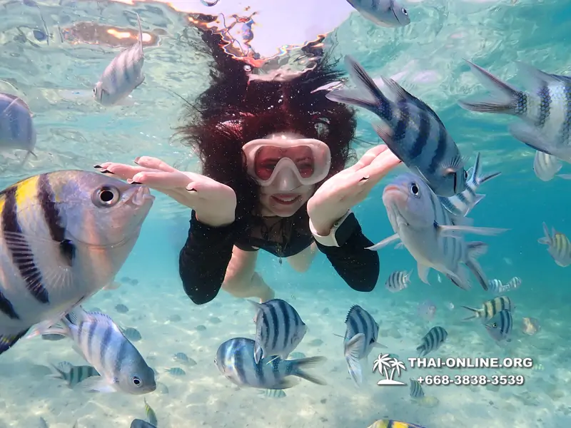 Underwater Odyssey snorkeling excursion Pattaya Thailand photo 11214