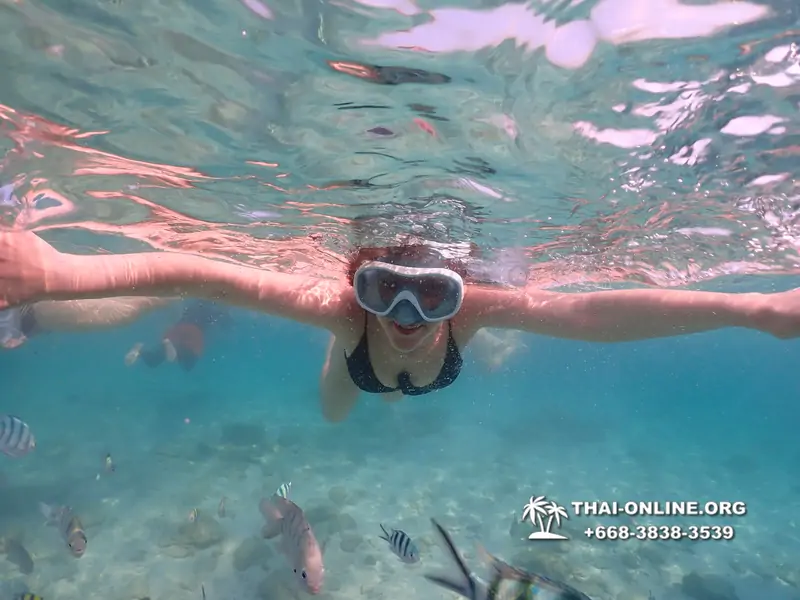 Underwater Odyssey snorkeling tour from Pattaya Thailand photo 14465