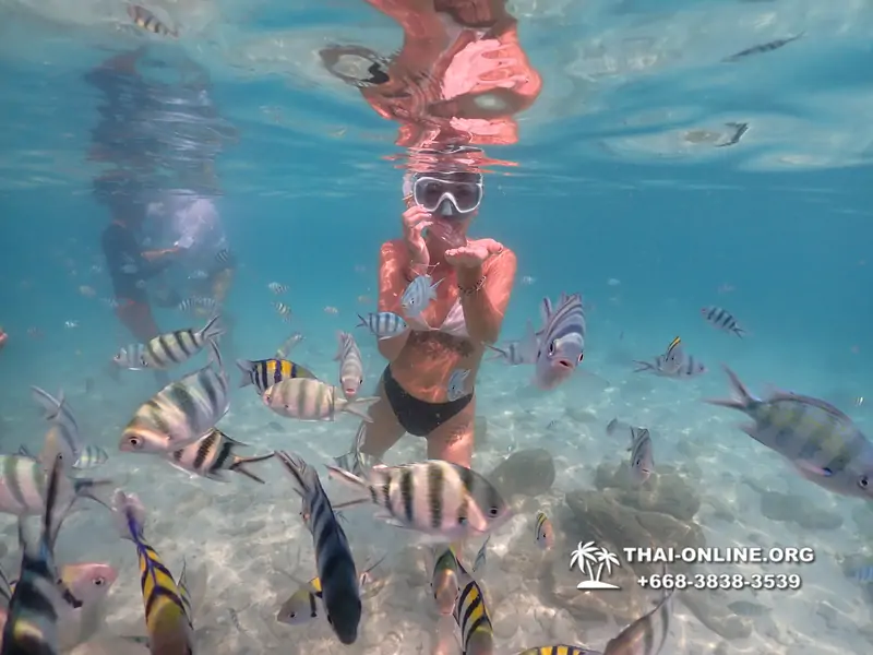 Underwater Odyssey snorkeling tour from Pattaya Thailand photo 14538