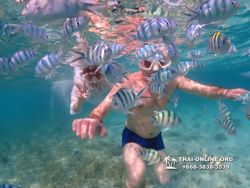 Underwater Odyssey snorkeling excursion Pattaya Thailand photo 11299
