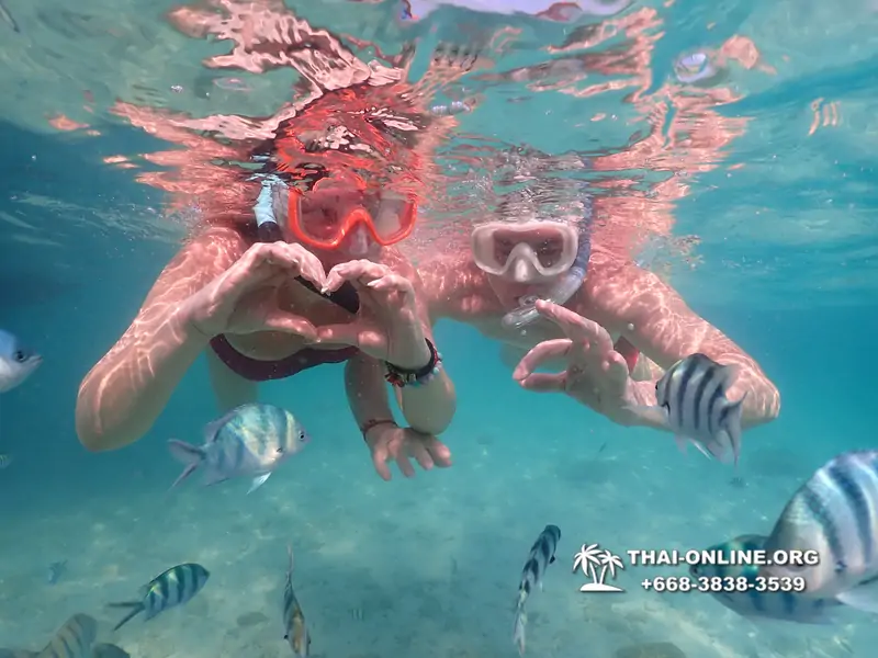 Underwater Odyssey snorkeling tour from Pattaya Thailand photo 14234