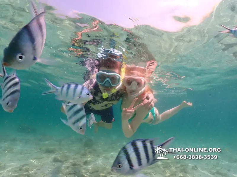 Underwater Odyssey snorkeling tour from Pattaya Thailand photo 18444