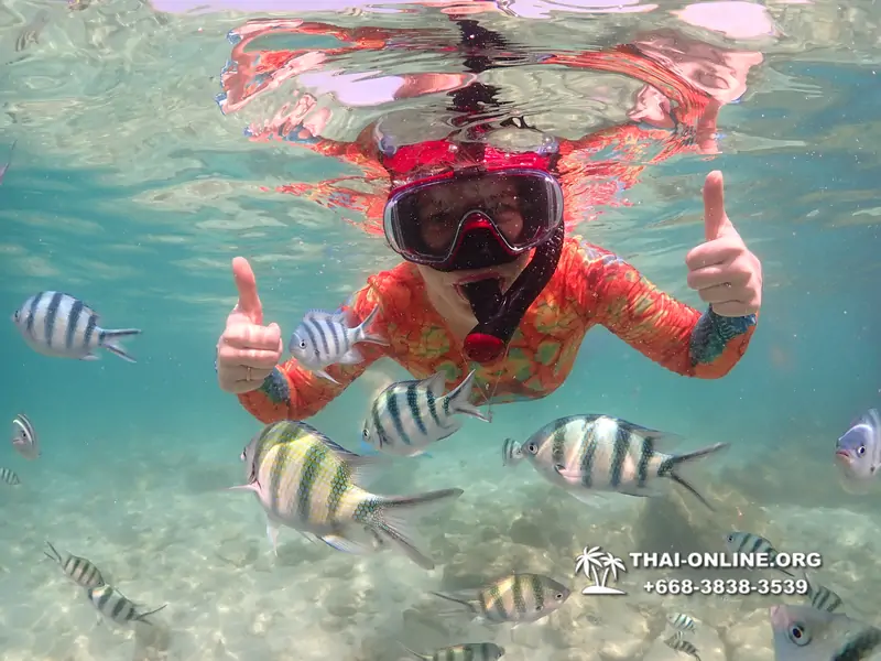 Underwater Odyssey snorkeling excursion Pattaya Thailand photo 14772