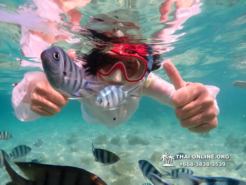 Underwater Odyssey snorkeling tour from Pattaya Thailand photo 14303