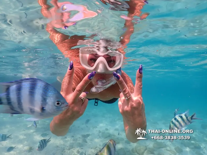 Underwater Odyssey snorkeling excursion Pattaya Thailand photo 10977