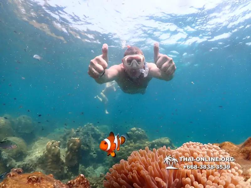 Underwater Odyssey snorkeling excursion Pattaya Thailand photo 14219