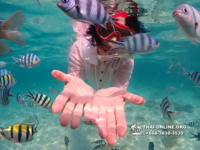 Underwater Odyssey snorkeling excursion Pattaya Thailand photo 14233