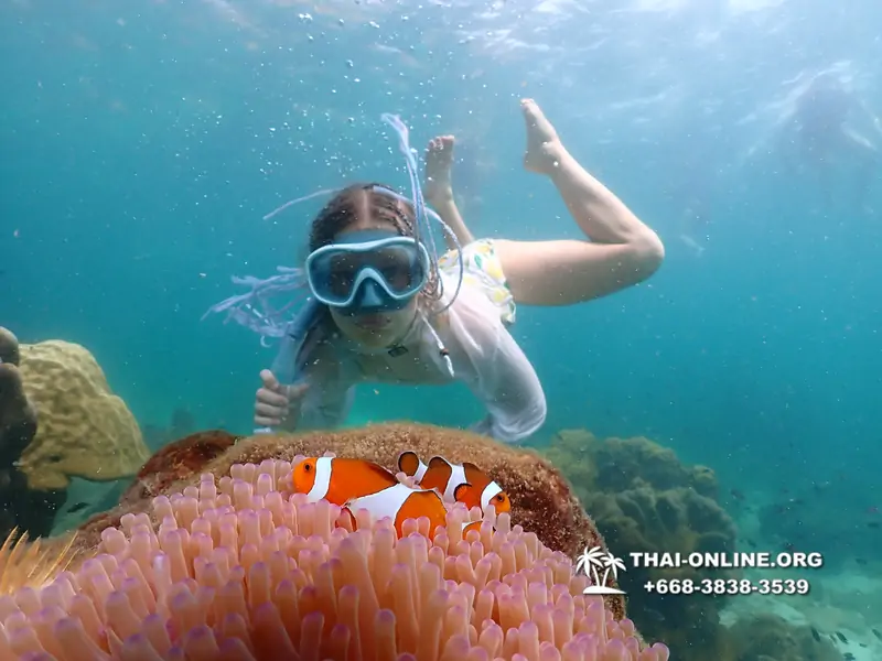 Underwater Odyssey snorkeling tour from Pattaya Thailand photo 18506