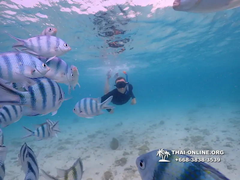 Underwater Odyssey snorkeling excursion Pattaya Thailand photo 11146