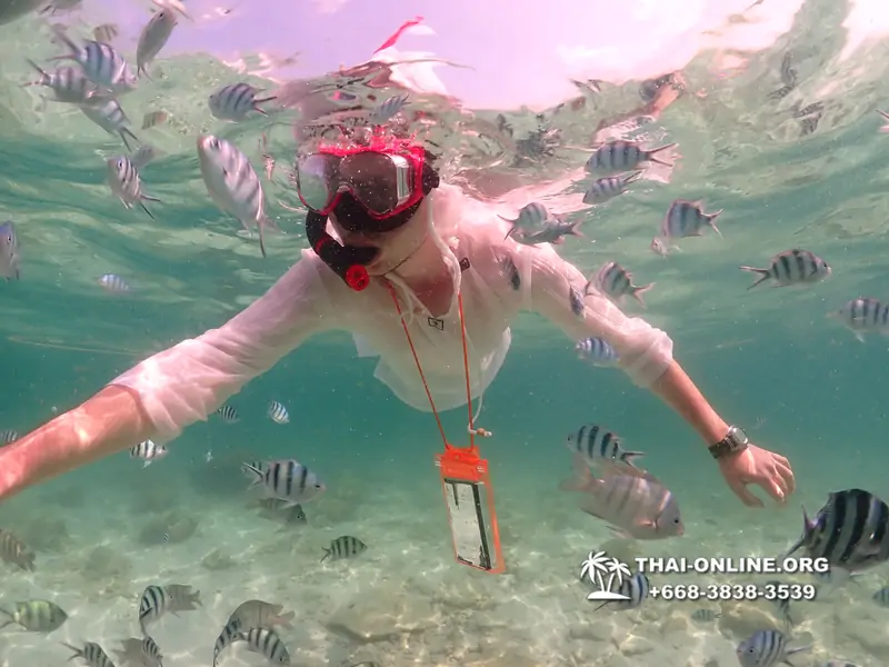 Underwater Odyssey snorkeling tour from Pattaya Thailand photo 18288