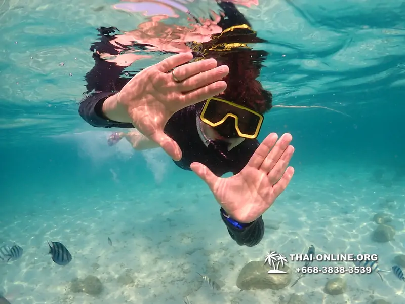 Underwater Odyssey snorkeling tour from Pattaya Thailand photo 14342