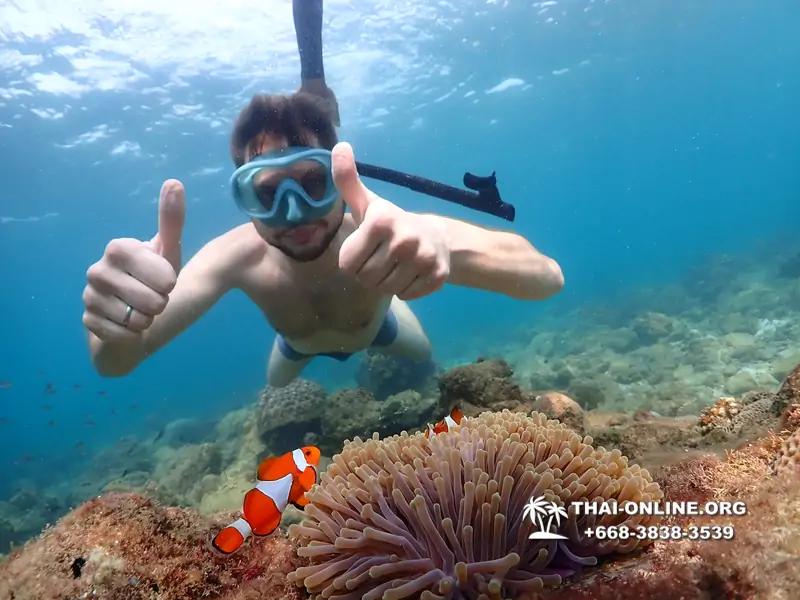 Underwater Odyssey snorkeling excursion Pattaya Thailand photo 11338