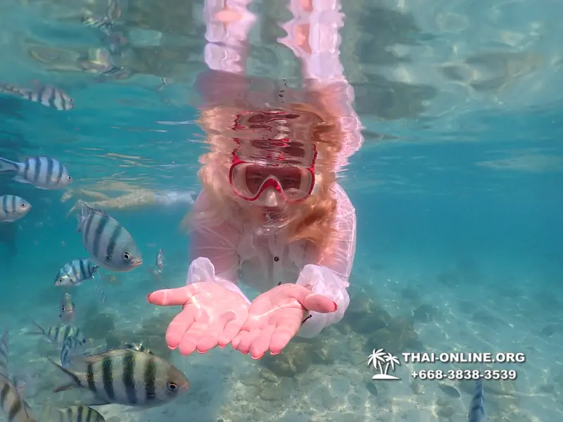 Underwater Odyssey snorkeling tour from Pattaya Thailand photo 14570