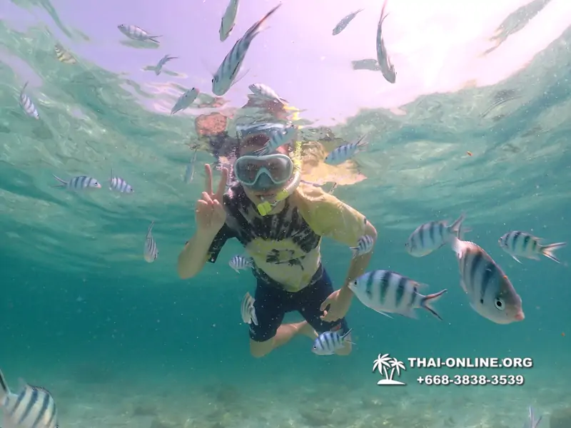 Underwater Odyssey snorkeling tour from Pattaya Thailand photo 18739
