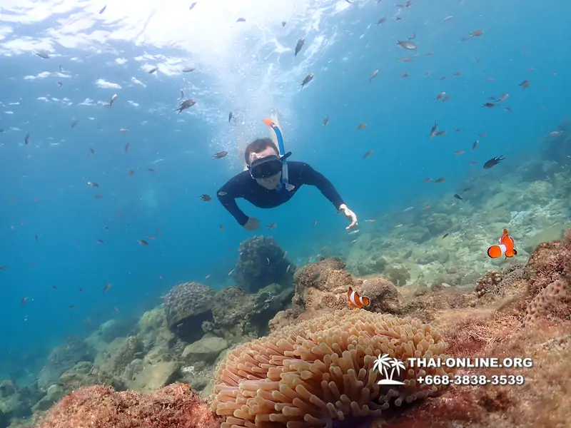 Underwater Odyssey snorkeling excursion Pattaya Thailand photo 11370
