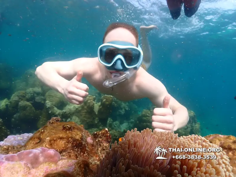 Underwater Odyssey snorkeling tour from Pattaya Thailand photo 14267