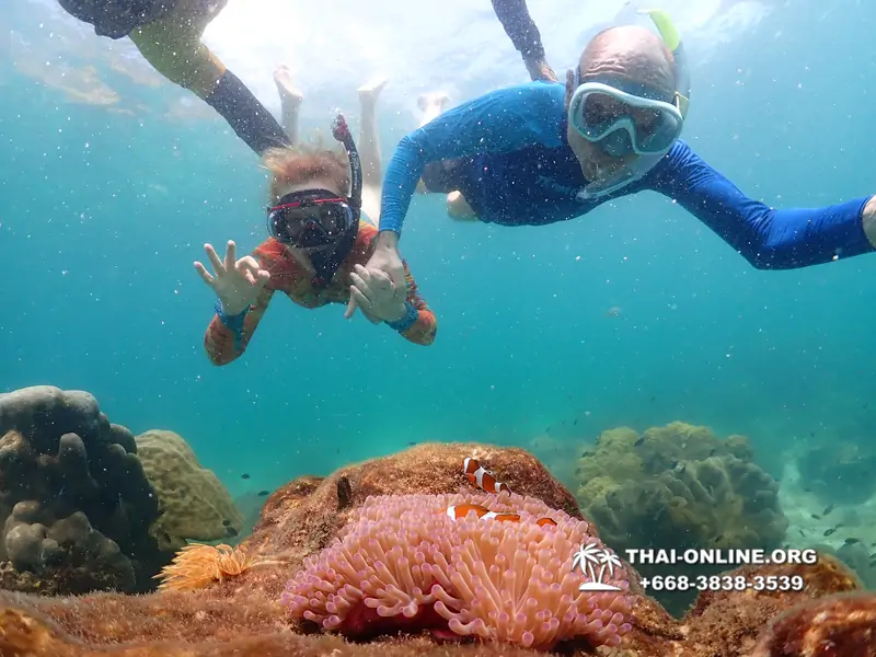 Underwater Odyssey snorkeling excursion Pattaya Thailand photo 14812