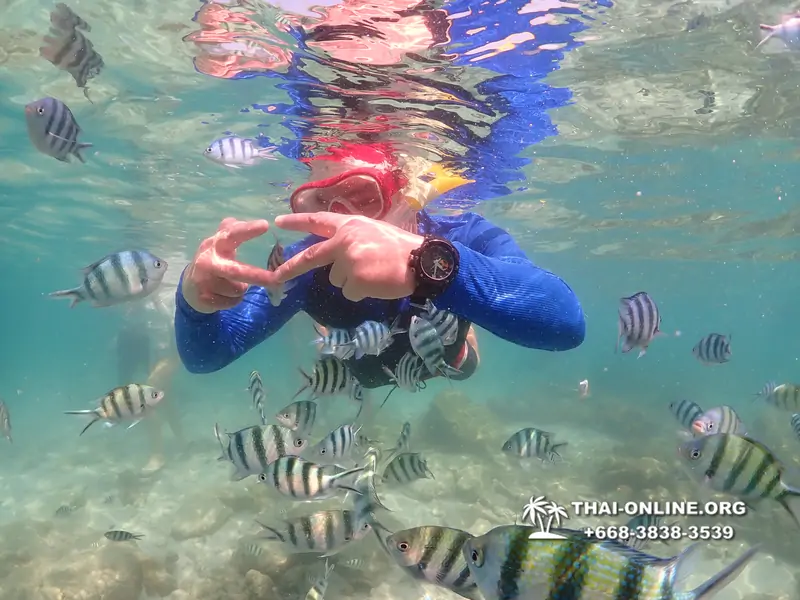 Underwater Odyssey snorkeling excursion Pattaya Thailand photo 14755